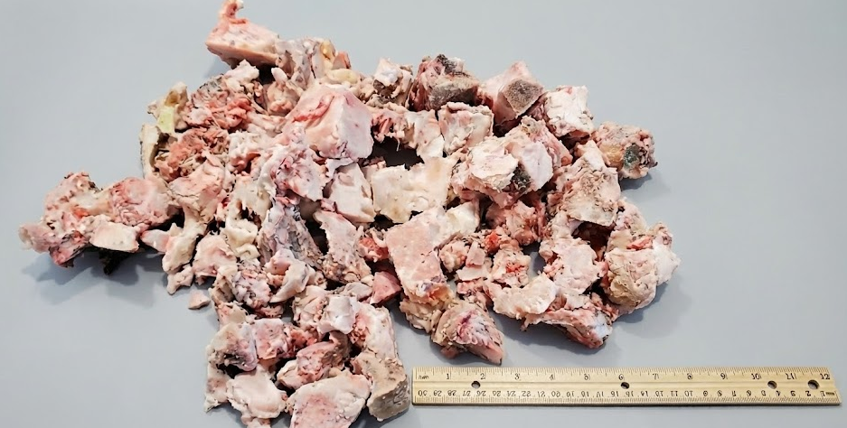 Stage 1 Output with Ruler